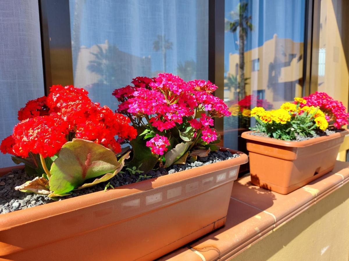 Casa Ledu - Sunny Holiday In Fuerteventura Corralejo Ngoại thất bức ảnh